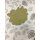 Deko Stoff Gardine Blumen creme grau senf schwerentflammbar , Restst&uuml;ck 3,7 m