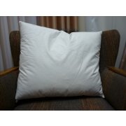 Federkissen F&uuml;llkissen Sofakissen Kissenf&uuml;llung mit Inlett und Federn, creme 60 x 60 cm