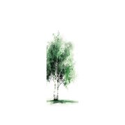 SCHIEBEVORHANG DEKOSTOFF SEIDENOPTIK DIGITALDRUCK "TREE" 60 cm x 245 cm Farbe GRÜN