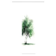 SCHIEBEVORHANG DEKOSTOFF SEIDENOPTIK DIGITALDRUCK "TREE" 60 cm x 245 cm Farbe GRÜN