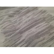 Flächenvorhang Schiebegardine Shirley weiß anthrazit, teiltransparent, Maßanfertigung