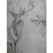 Kissenhülle Kissen Bezug Landhaus Hirsch marmoriert natur beige grau,40 x 40 cm