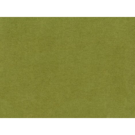28 kiwi