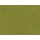 28 kiwi